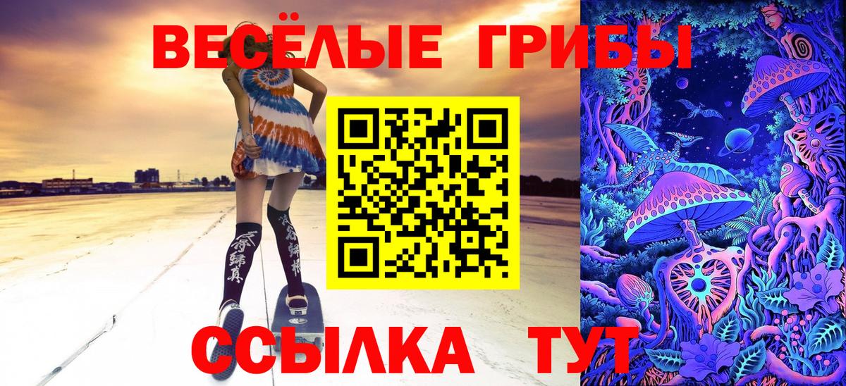 Балтийск  Псилоцибиновые грибы GOLDEN TEACHER  Вход с VPN 