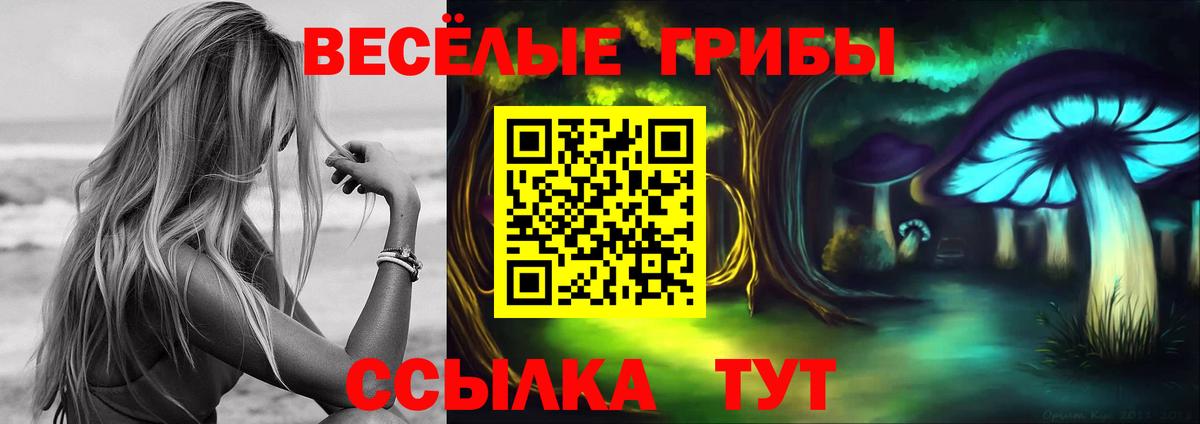 Галлюциногенные грибы Magic Shrooms Балтийск